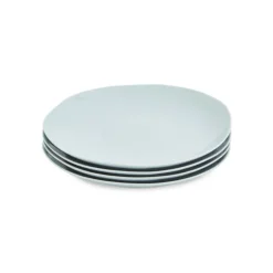 Arbor 4-Piece Dinner Plate Set