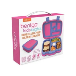 Brights Drop-Proof BPA-Free Lunchbox